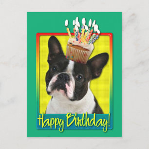 Verjaardag Cupcake - Boston Terrier Briefkaart
