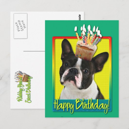 Verjaardag Cupcake - Boston Terrier Briefkaart (Voorkant / Achterkant)