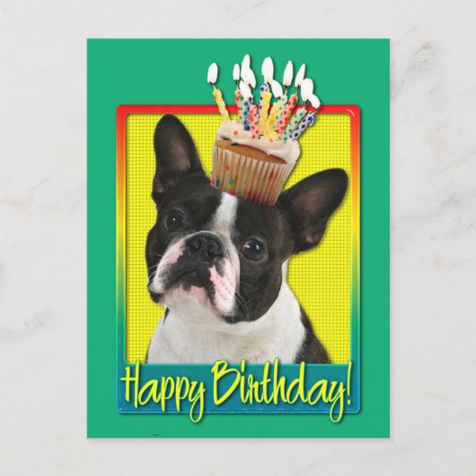 Verjaardag Cupcake - Boston Terrier Briefkaart (Voorkant)