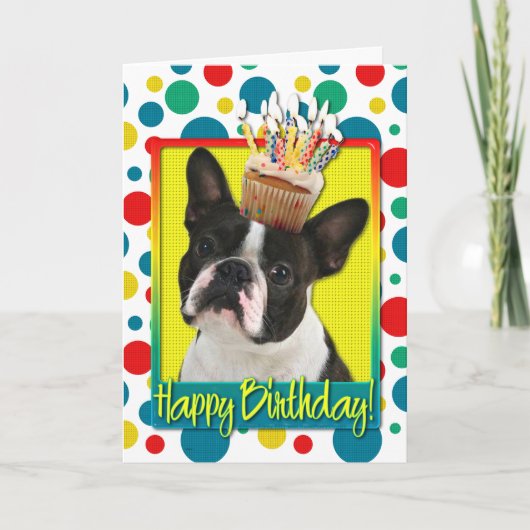 Verjaardag Cupcake - Boston Terrier Kaart (Voorkant)
