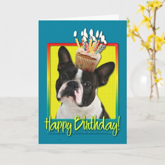 Verjaardag Cupcake - Boston Terrier Kaart (Gele Bloem)