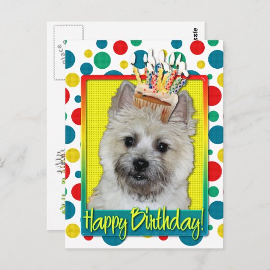 Verjaardag Cupcake - Cairn Terrier - Teddybeer Briefkaart (Voorkant / Achterkant)