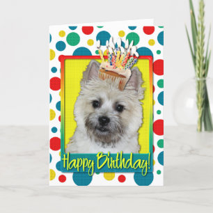 Verjaardag Cupcake - Cairn Terrier - Teddybeer Kaart