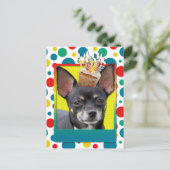Verjaardag Cupcake - Chihuahua - Isabella Briefkaart (Staand voorkant)