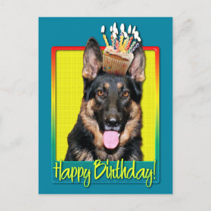 Verjaardag Cupcake - Duitse Herder - Kuno Briefkaart