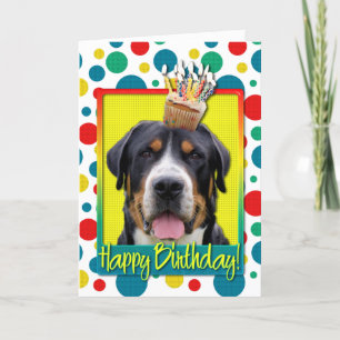 Verjaardag Cupcake - Greater Swiss Mountain Dog Kaart
