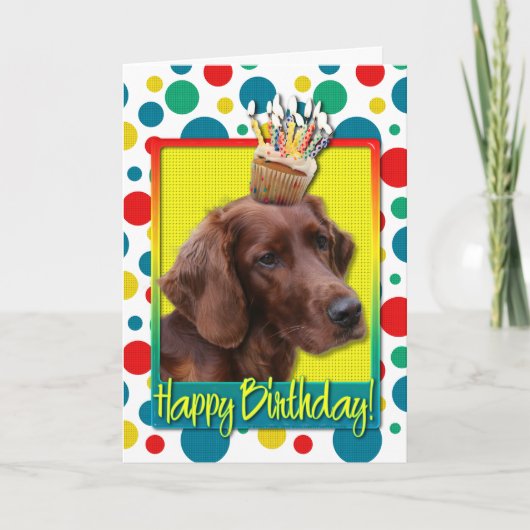 Verjaardag Cupcake - Ierse Setter Kaart (Voorkant)