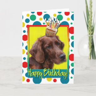 Verjaardag Cupcake - Ierse Setter Kaart