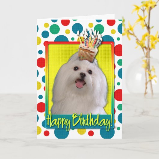 Verjaardag Cupcake - Maltees Kaart (Gele Bloem)