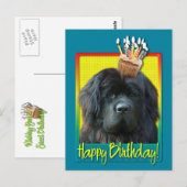 Verjaardag Cupcake - Newfoundland Briefkaart (Voorkant / Achterkant)