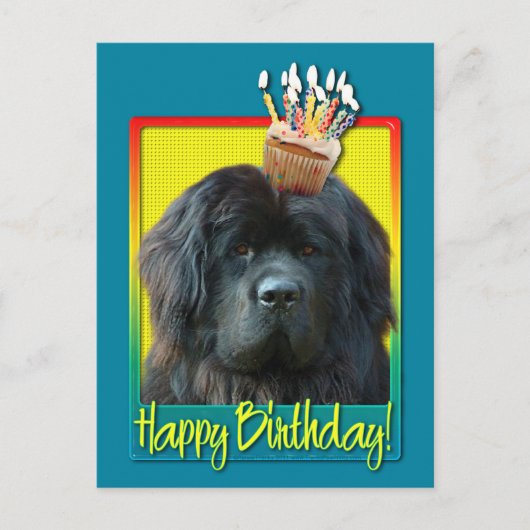 Verjaardag Cupcake - Newfoundland Briefkaart (Voorkant)