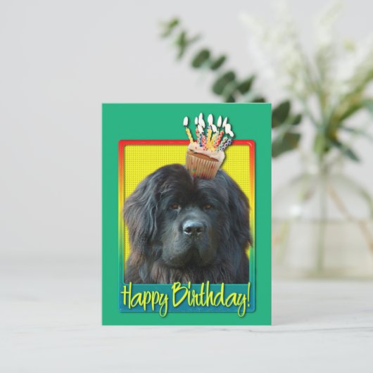 Verjaardag Cupcake - Newfoundland Briefkaart (Staand voorkant)