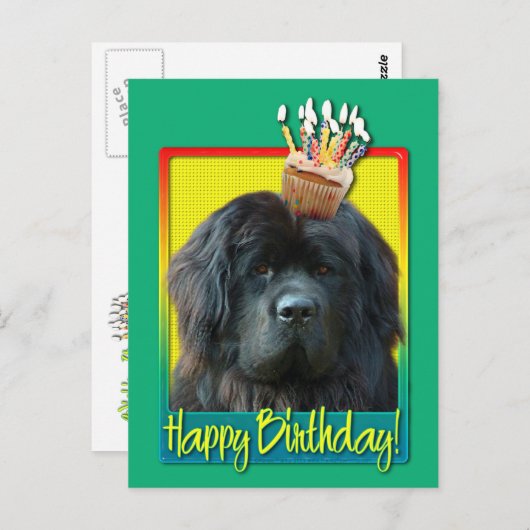 Verjaardag Cupcake - Newfoundland Briefkaart (Voorkant / Achterkant)