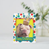Verjaardag Cupcake - Pitbull - Jersey Meisje Briefkaart (Staand voorkant)