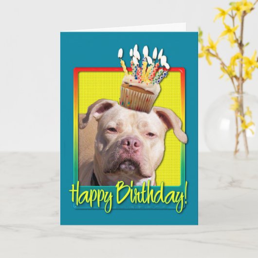 Verjaardag Cupcake - Pitbull - Jersey Meisje Kaart (Gele Bloem)