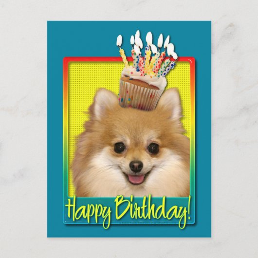 Verjaardag Cupcake Pomeranian Briefkaart (Voorkant)