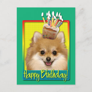 Verjaardag Cupcake Pomeranian Briefkaart