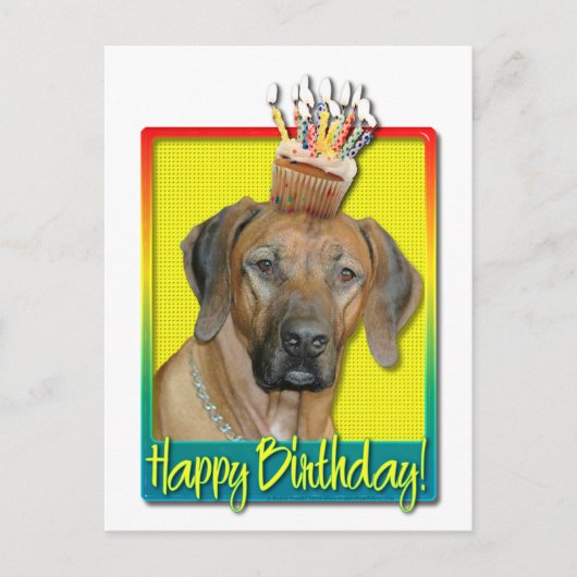 Verjaardag Cupcake - Rhodesian Ridgeback Briefkaart (Voorkant)