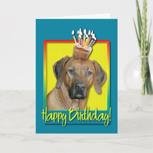 Verjaardag Cupcake - Rhodesian Ridgeback Kaart (Voorkant)
