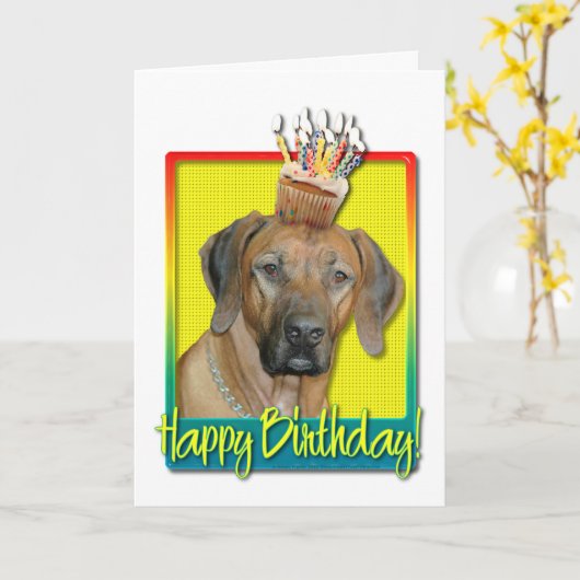 Verjaardag Cupcake - Rhodesian Ridgeback Kaart (Gele Bloem)