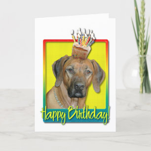 Verjaardag Cupcake - Rhodesian Ridgeback Kaart