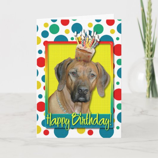 Verjaardag Cupcake - Rhodesian Ridgeback Kaart (Voorkant)