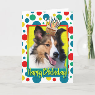 Verjaardag Cupcake - Sheltie Kaart