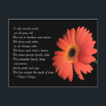 Verjaardag Cute Broer / Zus Broers en Zusters Briefkaart<br><div class="desc">Voor de buitenwereld worden we allemaal oud.  Maar niet voor broers en zussen.  We kennen elkaar zoals we altijd waren. We kennen elkaars harten. We delen privé-gezinsgrappen.  We herinneren ons gezinsruzies  en geheimen,   familiedroefheid en vreugde. We leven buiten het bereik van de tijd.   ~Clara Ortega</div>