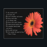 Verjaardag Cute Brother / Sister Broers en Zusters Briefkaart<br><div class="desc">Voor de buitenwereld worden we allemaal oud. Maar niet voor broers en zusters. We kennen elkaar zoals we altijd waren. We kennen elkaars harten. We delen privé familie grapjes. We herinneren ons familieruzies en geheimen,  familieleed en vreugde. We leven buiten het bereik van de tijd. ~Clara Ortega</div>