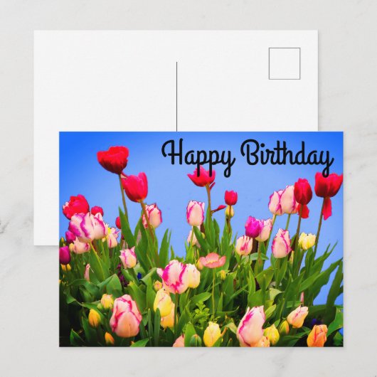 Verjaardag Diverse Tulp #3 Ansichtkaart Briefkaart (Voorkant / Achterkant)