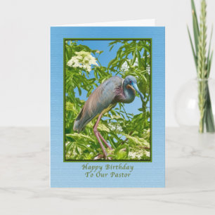 Verjaardag, dominee, driekleurige reiger in een bo kaart