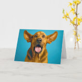 Verjaardag Drooling Bloedhond Humor Kaart (Gele Bloem)