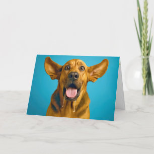 Verjaardag Drooling Bloedhond Humor Kaart
