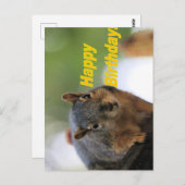 Verjaardag eekhoorn  briefkaart (Voorkant / Achterkant)