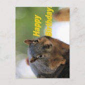 Verjaardag eekhoorn  briefkaart (Voorkant)