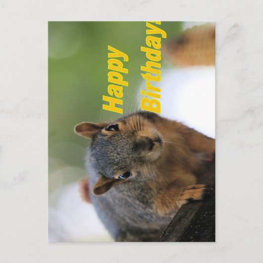 Verjaardag eekhoorn  briefkaart (Voorkant)