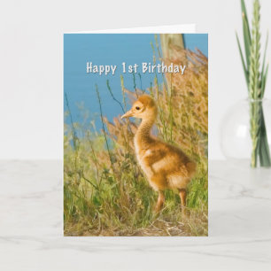 Verjaardag, eerste, de Kraan van Sandhill van het Kaart