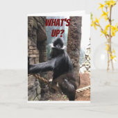 VERJAARDAG EN LEEFTIJD HUMOR VOOR MIJN FAVORIETE B KAART (Gele Bloem)