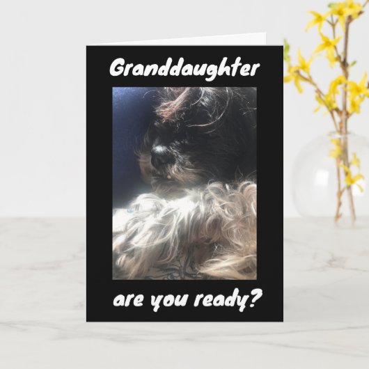 VERJAARDAG EVER VOOR ***KLEINDOCHTER*** KAART (Gele Bloem)