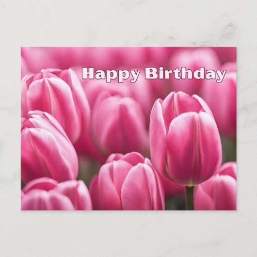 Verjaardag Felroze Tulp Bloemen Briefkaart (Voorkant)