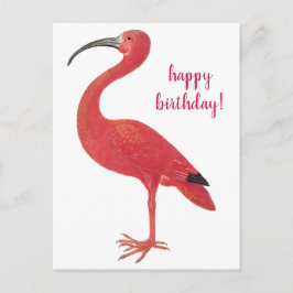 Verjaardag flamingo vintage fine art ansichtkaart briefkaart