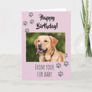 Verjaardag Foto Hond Kat Huisdier Vacht Baby Kaart