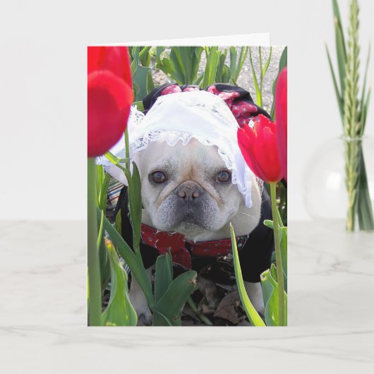 Verjaardag Franse Bulldog in een Nederlandse Tulpe Kaart (Voorkant)