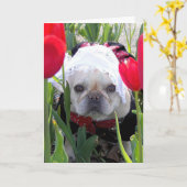 Verjaardag Franse Bulldog in een Nederlandse Tulpe Kaart (Gele Bloem)