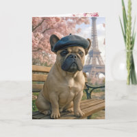 Verjaardag Franse Bulldog in Parijs