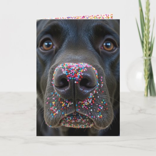 Verjaardag Fun Black Lab Hond met Sprinkles Kaart (Voorkant)
