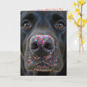 Verjaardag Fun Black Lab Hond met Sprinkles Kaart (Gele Bloem)