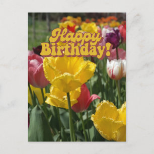 Verjaardag Geel en Roze Tulpen Bloemen Briefkaart