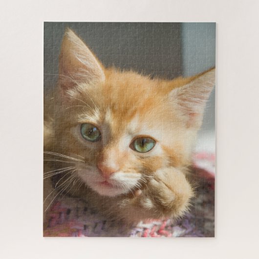 VERJAARDAG GEMBER KAT KITTEN LEGPUZZEL (Verticaal)