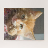 VERJAARDAG GEMBER KAT KITTEN LEGPUZZEL (Horizontaal)